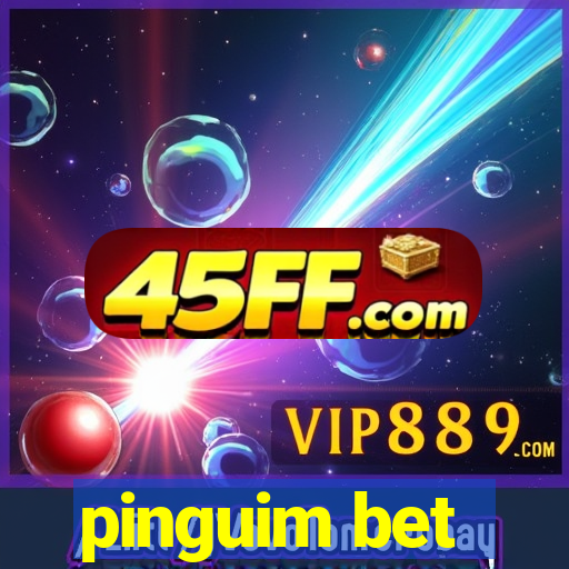 pinguim bet